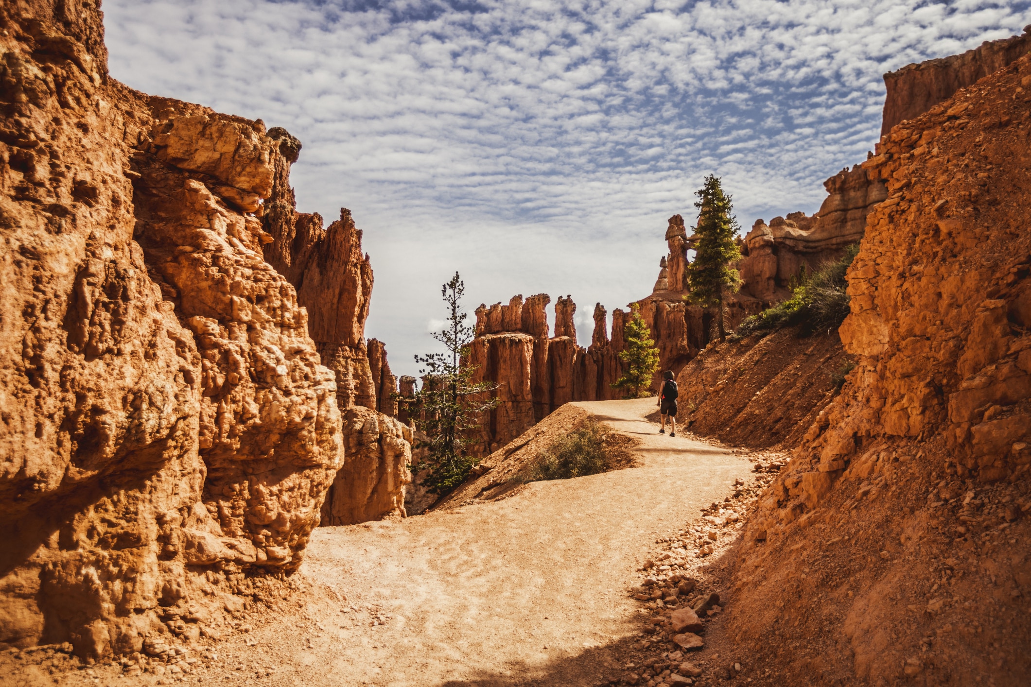 At Bryce Canyon National Park, Peek\-a\-boo trail